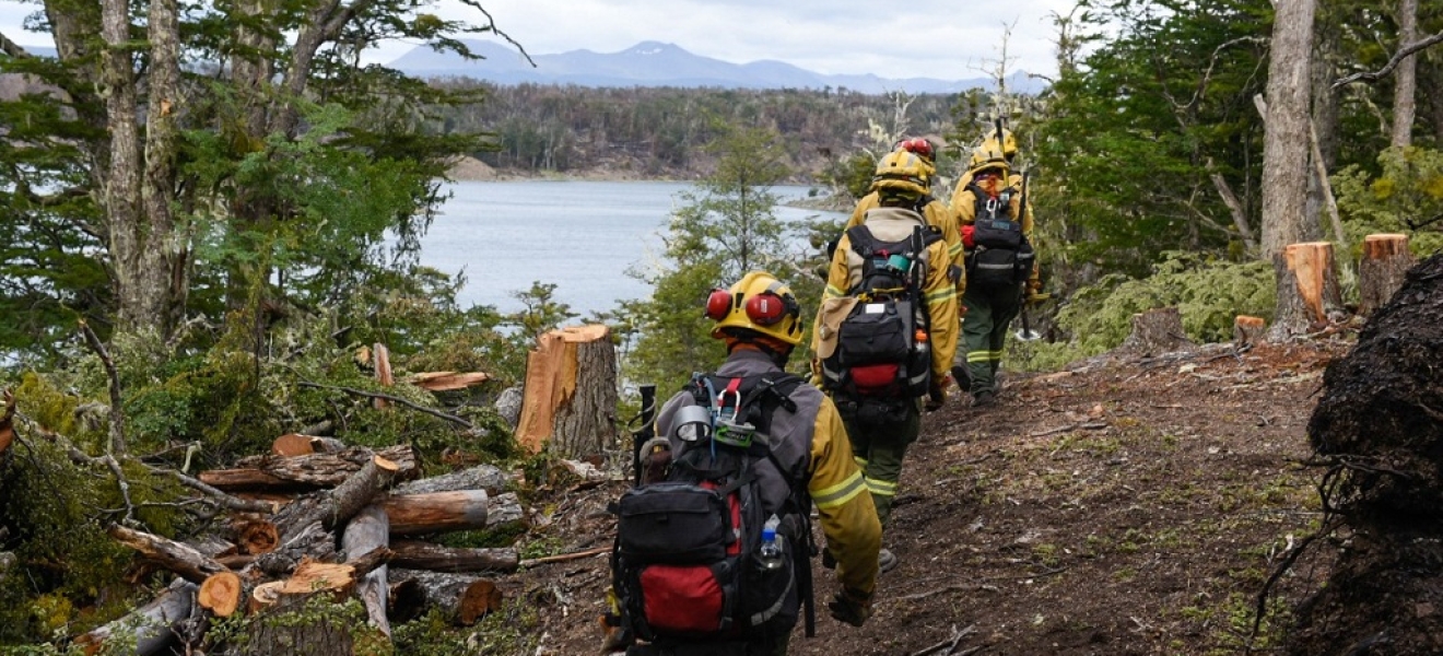 Nación mantiene el despliegue para el combate del incendio forestal en Tierra del Fuego